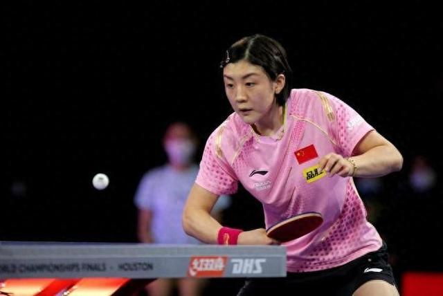 它是什么 它是什么